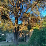 Villa Dordogne, Le Cambou, 5 Ch Avec Piscine Et Terrain 3 Ha Vergt-de-Biron