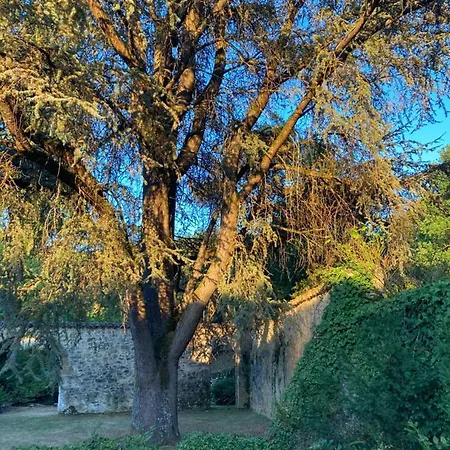 Vila Dordogne, Le Cambou, 5 Ch Avec Piscine Et Terrain 3 Ha Vergt-de-Biron